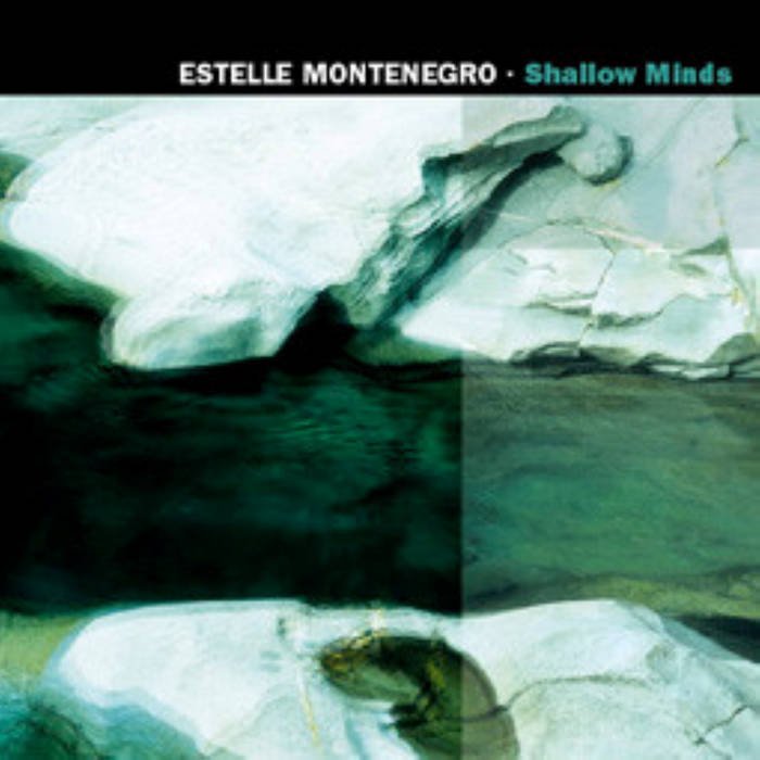 Shallow Minds — cover art